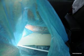 Special Phase - Photo 108